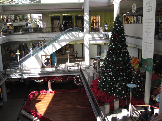 d0039479_17301239.jpg