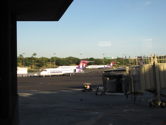 d0039479_18141753.jpg