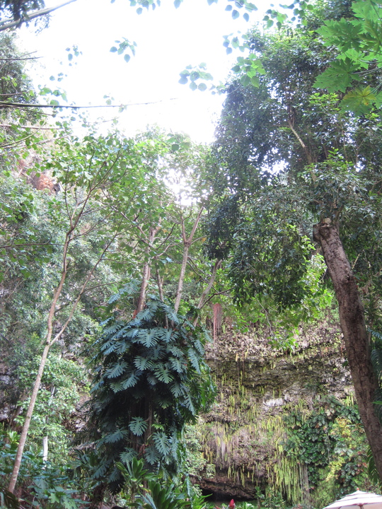 d0039479_1848476.jpg