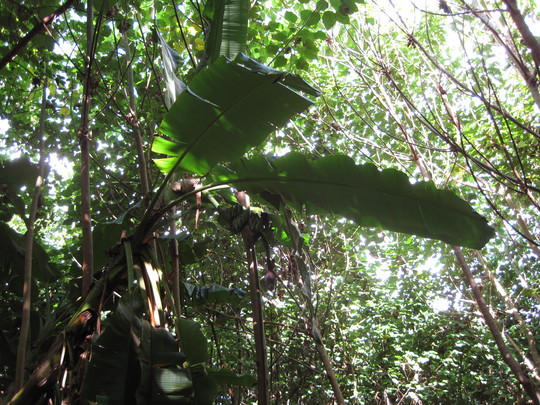 d0039479_18521418.jpg