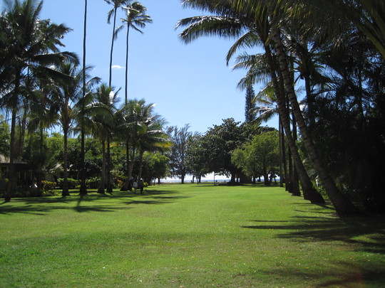 d0039479_19143697.jpg