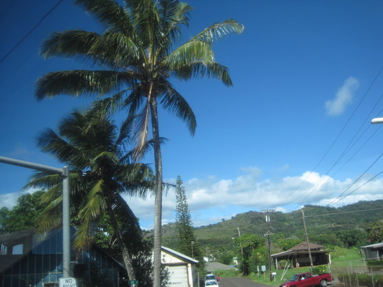 d0039479_1954890.jpg