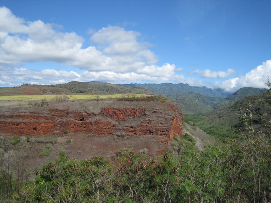 d0039479_197299.jpg