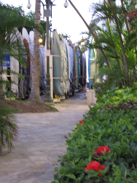 d0039479_23311466.jpg