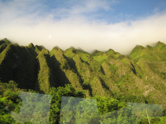 d0039479_23354533.jpg