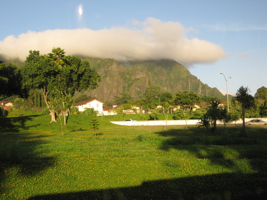 d0039479_2337451.jpg