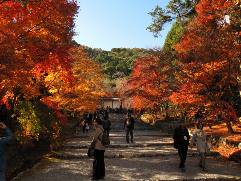 嵯峨野紅葉_a0004180_0403148.jpg