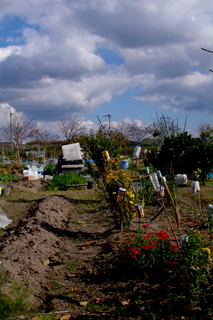 b0127180_17563550.jpg