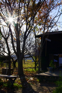b0127180_1759145.jpg