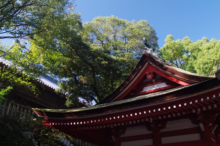 吉備津神社_c0135381_21412799.jpg