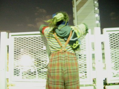 ▼WE ARE SUN FLOWERS_d0017381_32403.jpg