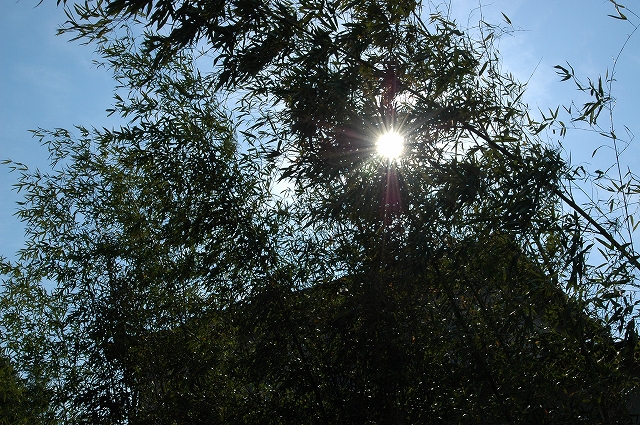 c0212083_1724437.jpg