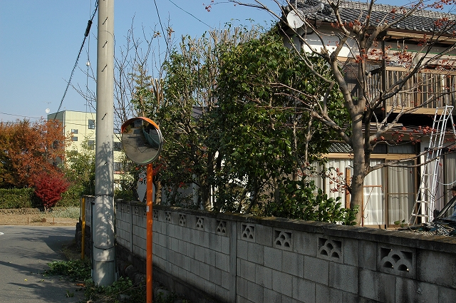 c0212083_1724885.jpg