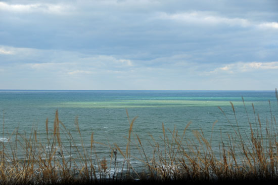 f0212586_2182913.jpg
