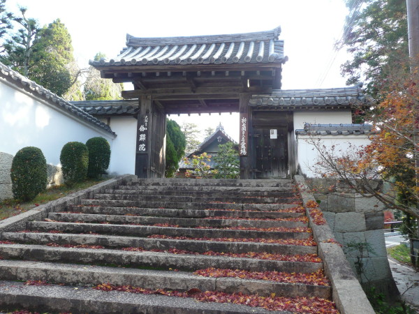 伽耶院(がやいん）　in　三木市　on　2010-11-23_b0118987_7123445.jpg