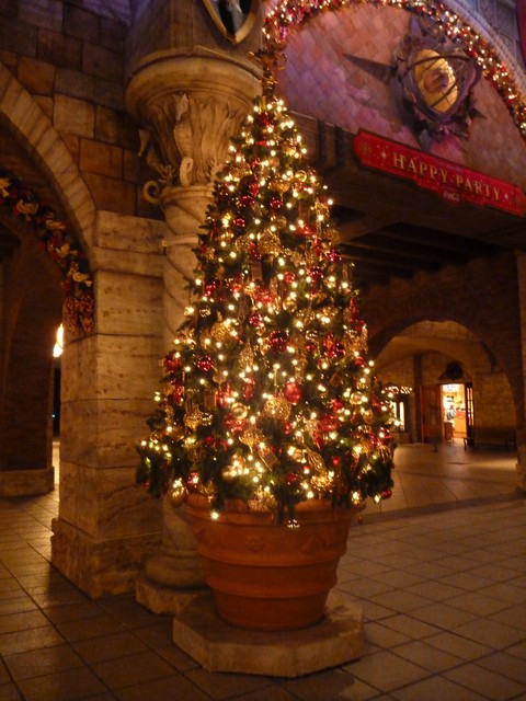 c0191390_055965.jpg