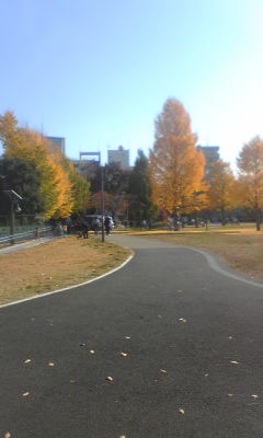 紅葉です蒔田公園_e0149596_12184034.jpg