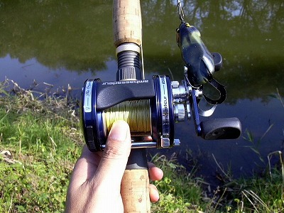 今シーズンの雷魚釣りは 只今flyリハビリ中