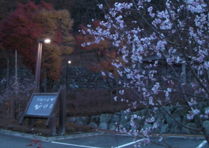神流川紅葉ツアー_c0121102_1919698.jpg