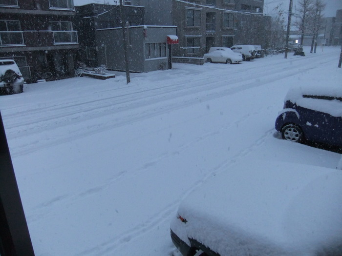 札幌　は雪が積もってます……_c0226202_656119.jpg