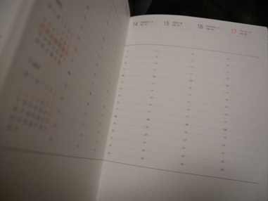 来年の手帳_d0140705_334771.jpg