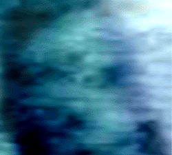 e0103408_18372089.gif