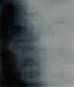 e0103408_18382654.gif