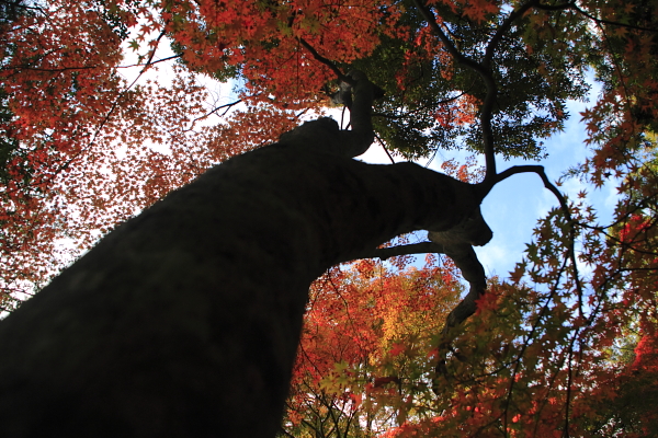 PHOTOHITO 関西オフ　2010　『奈良コース』_f0210808_2258811.jpg