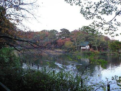 f0006509_23352162.jpg