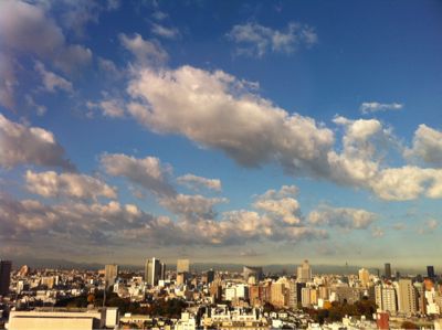 d0021510_995061.jpg