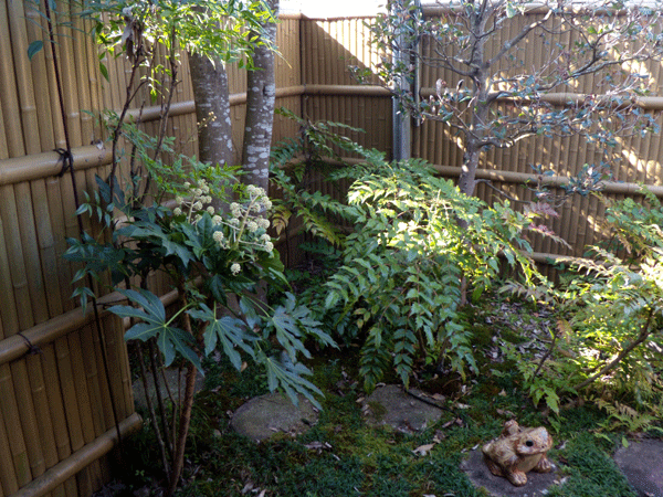 b0159611_21593171.gif