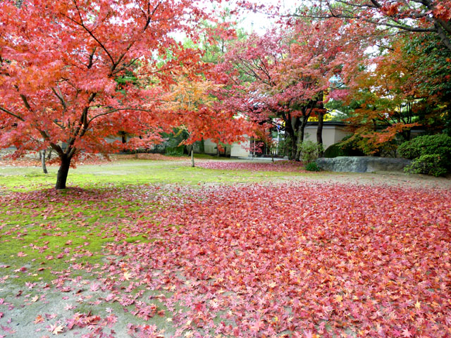 博多祇園町の寺院_e0048413_19561586.jpg