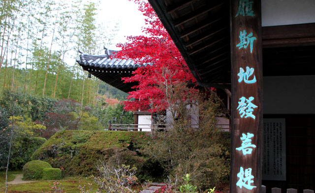 園通寺 借景の寺_e0048413_2224352.jpg