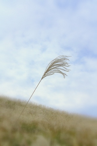 f0162319_9364366.jpg