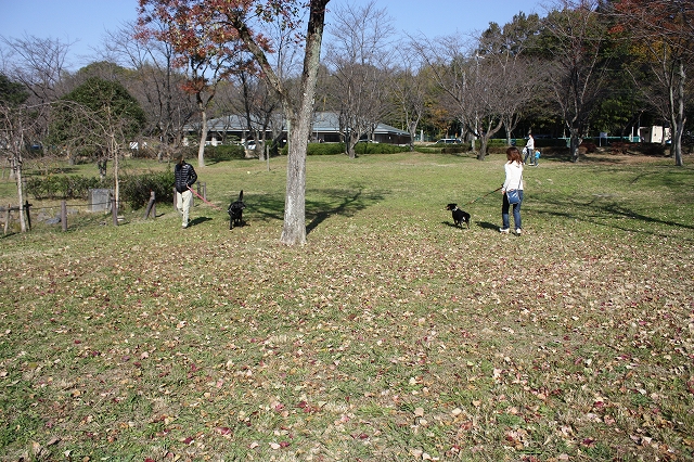 e0162524_12161046.jpg
