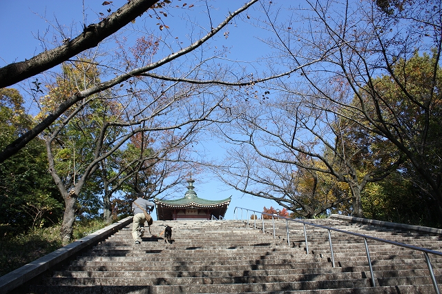 e0162524_12172264.jpg