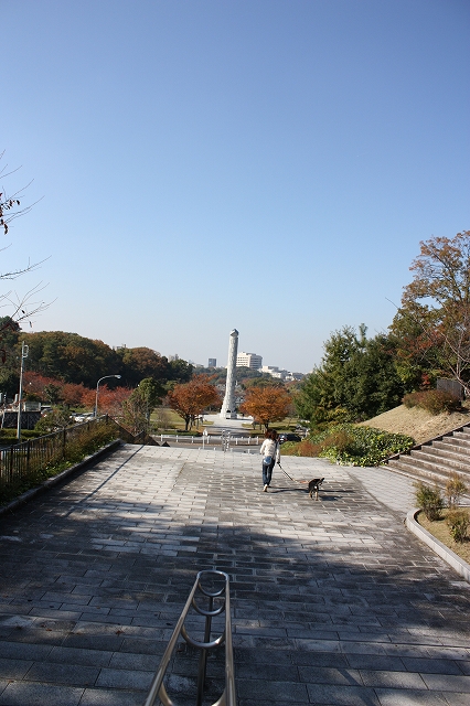 e0162524_12175164.jpg