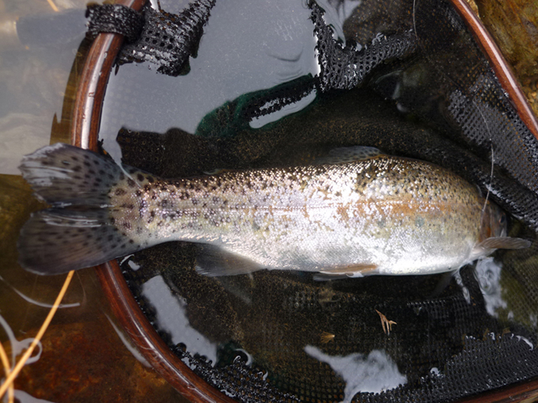 e0200926_13588.jpg
