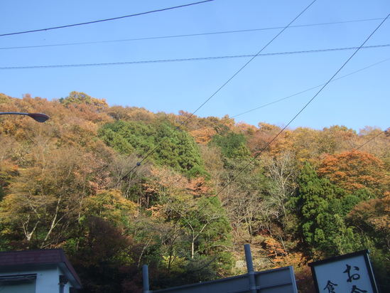 チョット遅い....紅葉登山!_b0137932_23383843.jpg