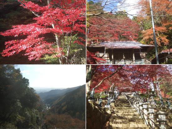 チョット遅い....紅葉登山!_b0137932_2374537.jpg