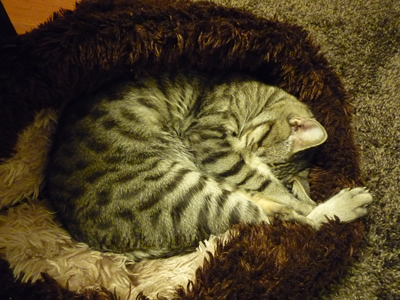 c0125532_2102339.jpg