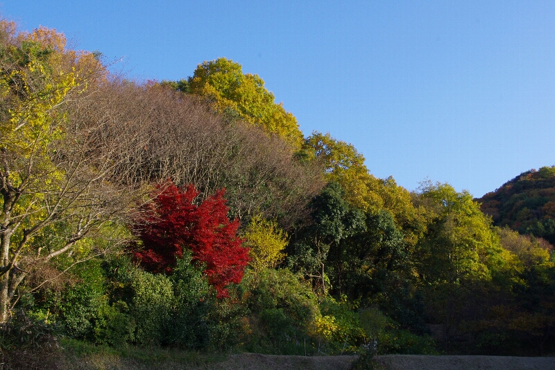 生駒山系縦走~_c0113733_23362732.jpg