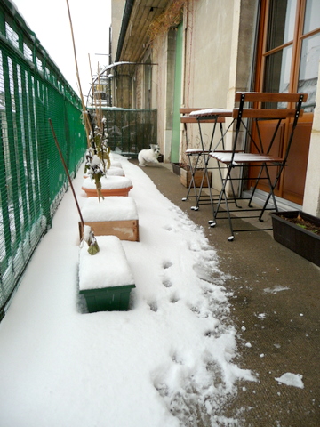 Enjoying Snow at Home _c0201334_10404367.jpg