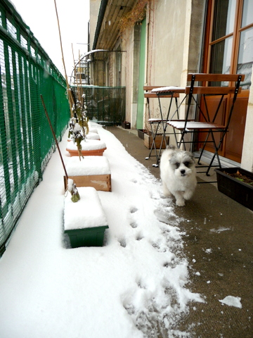 Enjoying Snow at Home _c0201334_10422826.jpg