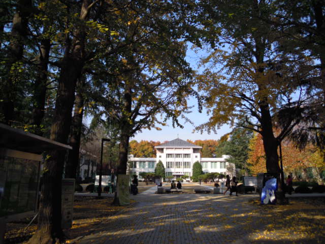 e0081334_02215.jpg