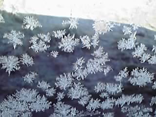 今朝は寒くて窓には氷の結晶ができました_e0145441_7365699.jpg