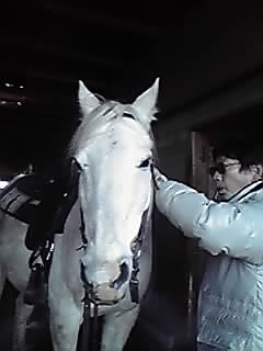 今朝は寒くて窓には氷の結晶ができました_e0145441_7375536.jpg