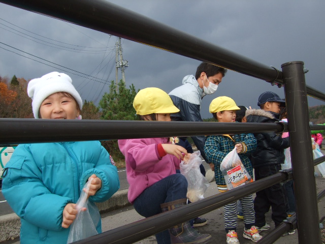 白鳥見学_d0166047_21273542.jpg
