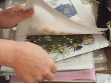 b0186148_1554921.gif