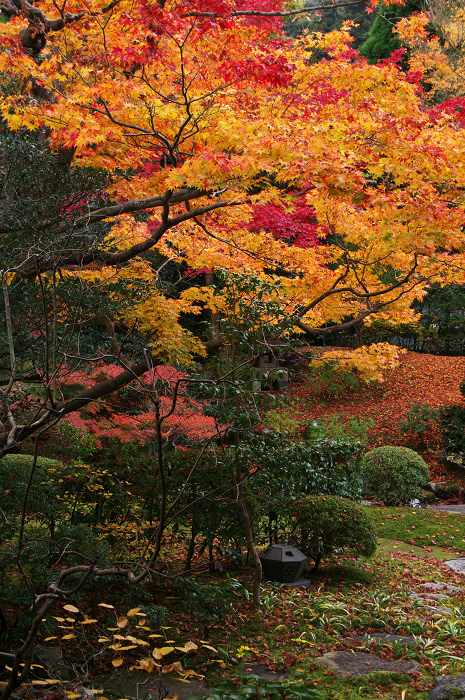 静寂の庭（東山・泉涌寺・御座所庭園）_f0155048_2111525.jpg